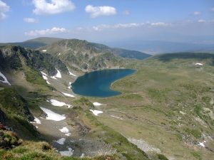 Бъбрека